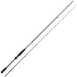 CANNE SPINNING DAIWA BG RF