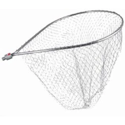 TETE D EPUISETTE AMIAUD